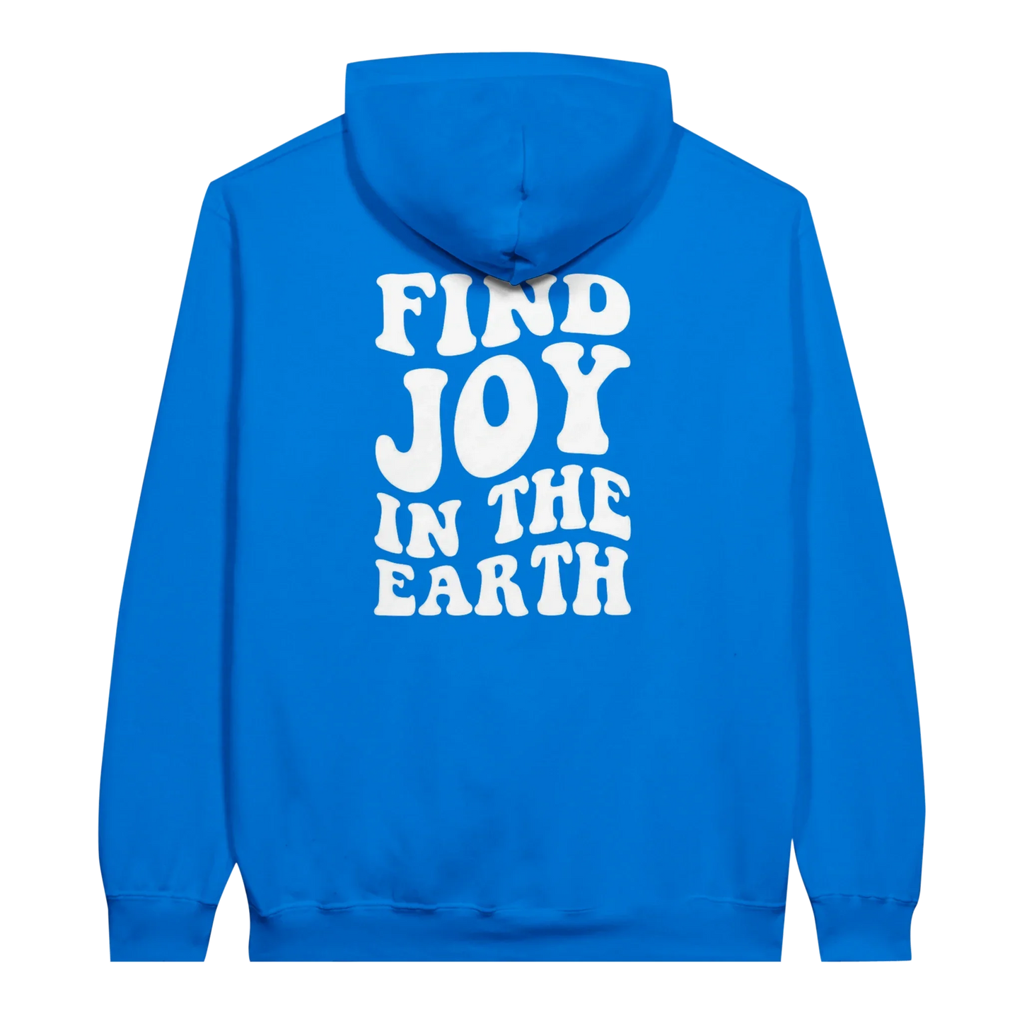 Blue unisex hoodie with 'Find Joy in the Earth' white text graphic on the back